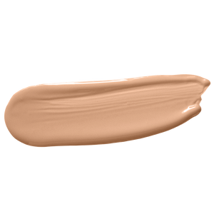 DISAPPEARING INK 4-in-1 CONCEALER